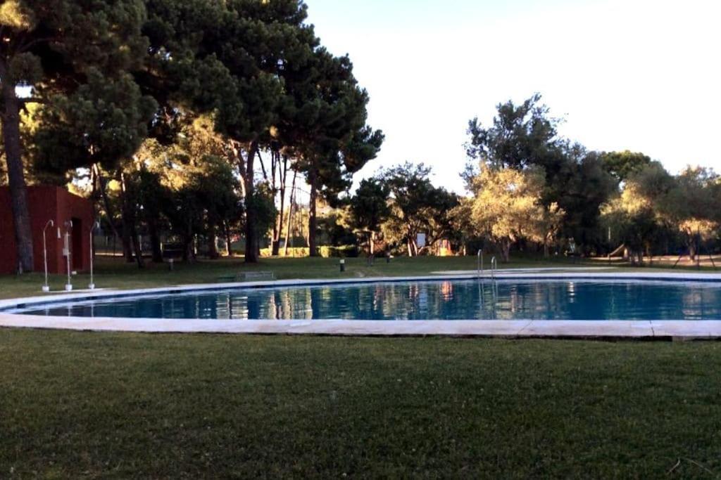 Oleholidays H. San Manuel 600 Mts. A La Playa Marbella Bagian luar foto